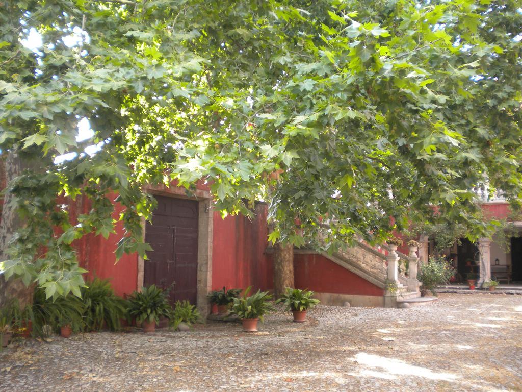 Casa Dos Vargos Bed and Breakfast Torres Novas Esterno foto